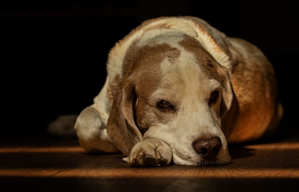 Photograph by Юлия Куликова