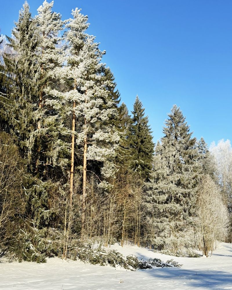 Photograph by Титаренко Людмила