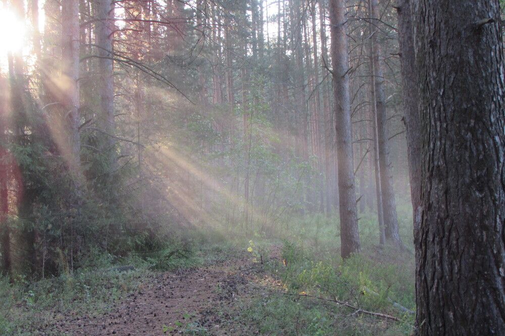 Photograph by Екатерина Лобанова