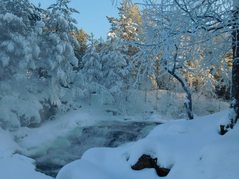 Photograph by Чкареули Светлана