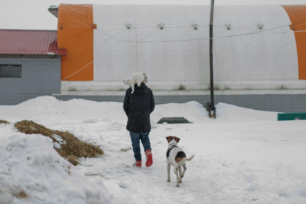 Photograph by Ковригина Евгения