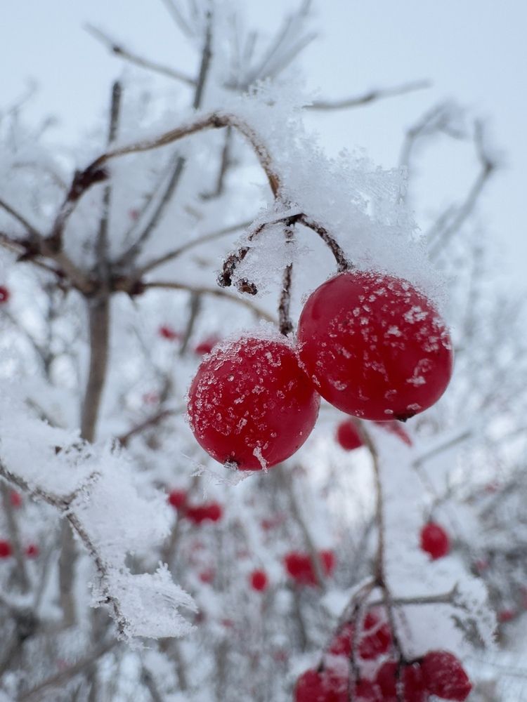 Photograph by Софья Шмидт