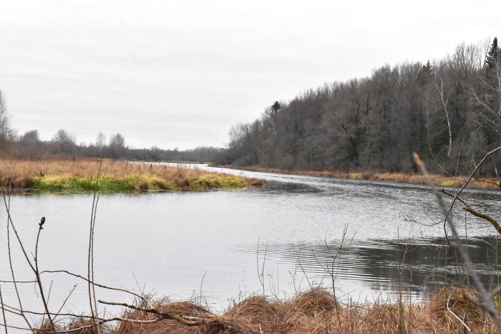 Photograph by Екатерина Лобанова