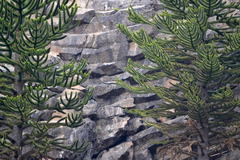 Фотография автора Jorge Martinez