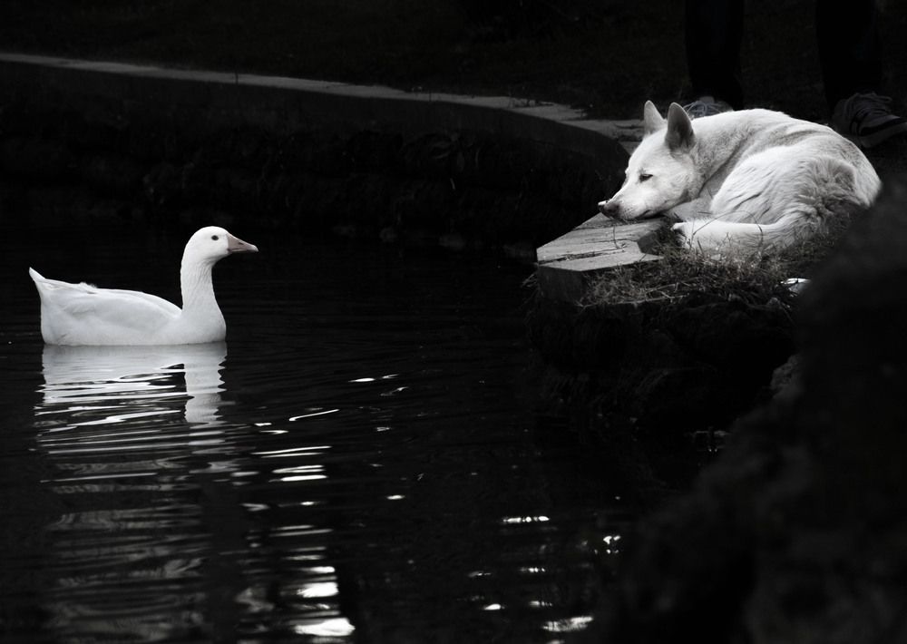 Photograph by Sergej