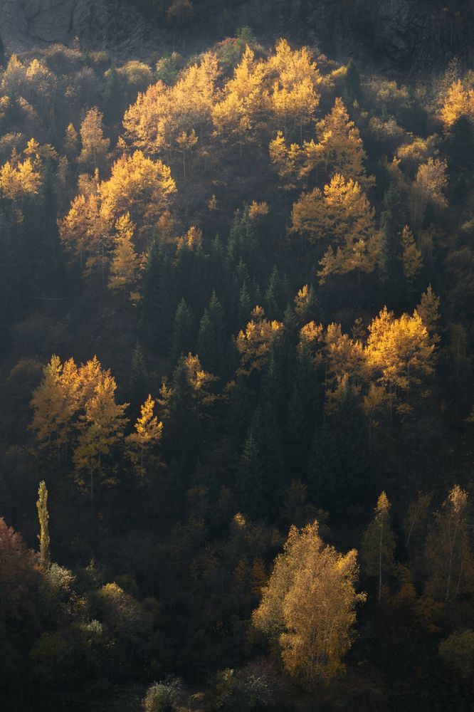Блистает золотом осень...