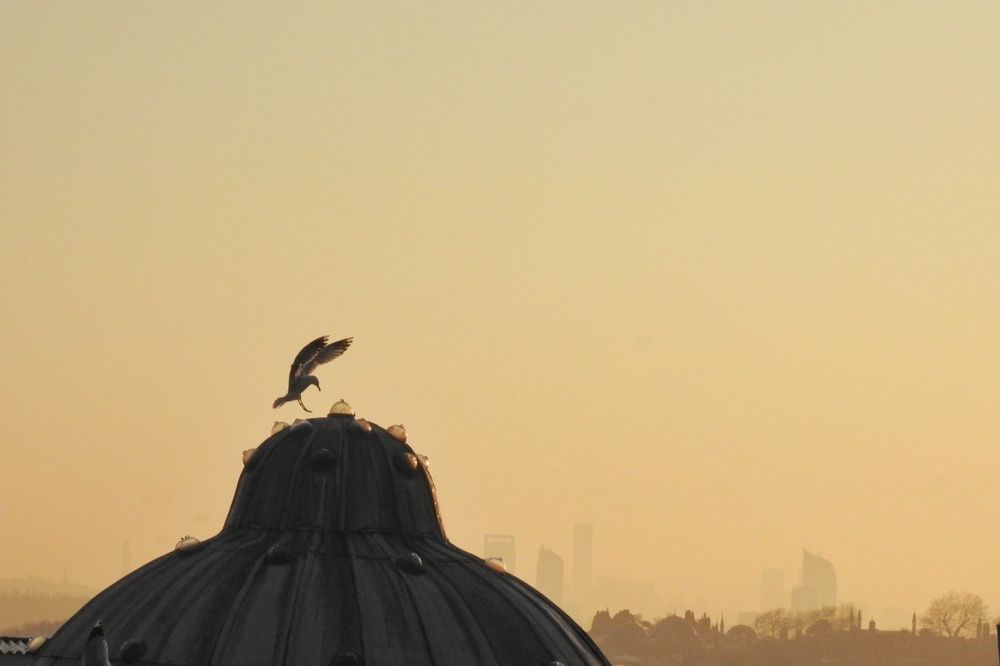 Photograph by fuat cimok