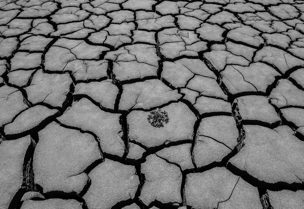 Photograph by Magov Marat