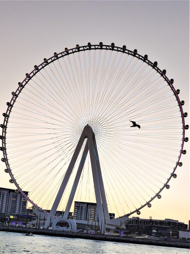 Photograph by Галина