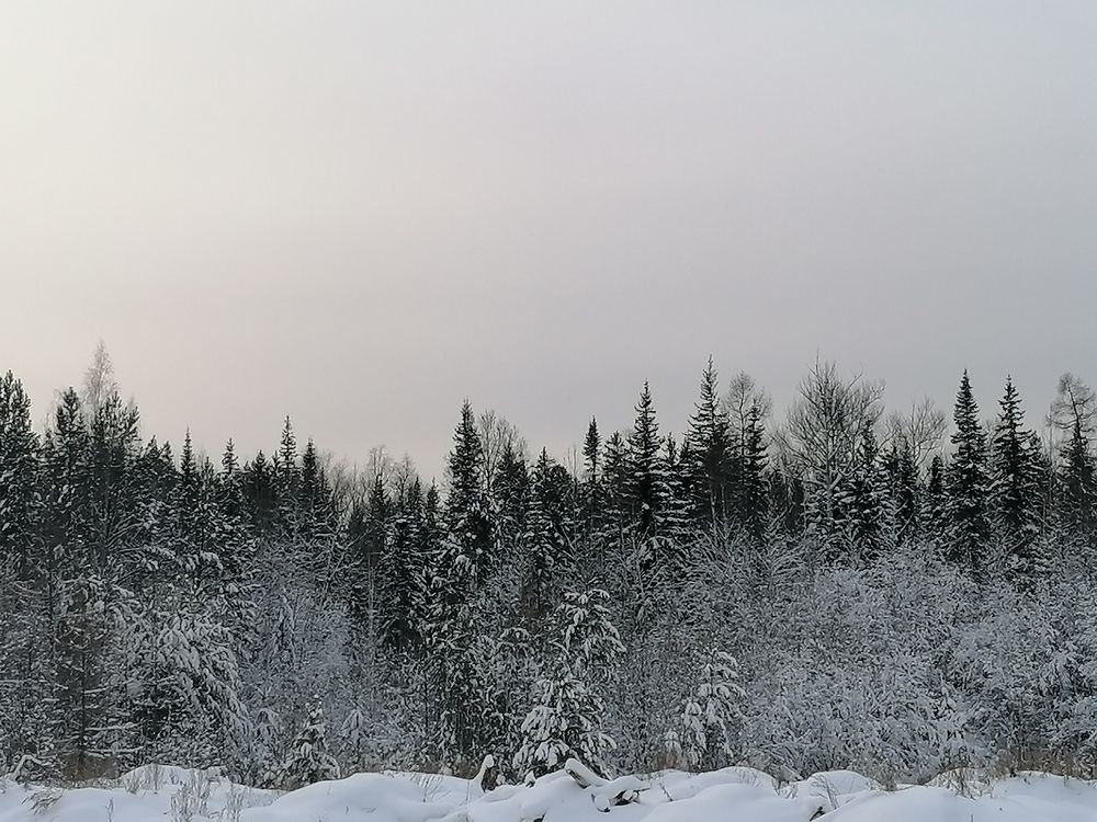 Photograph by Наталья Петухова