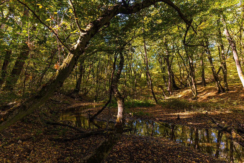 Photograph by Виктор Зотов