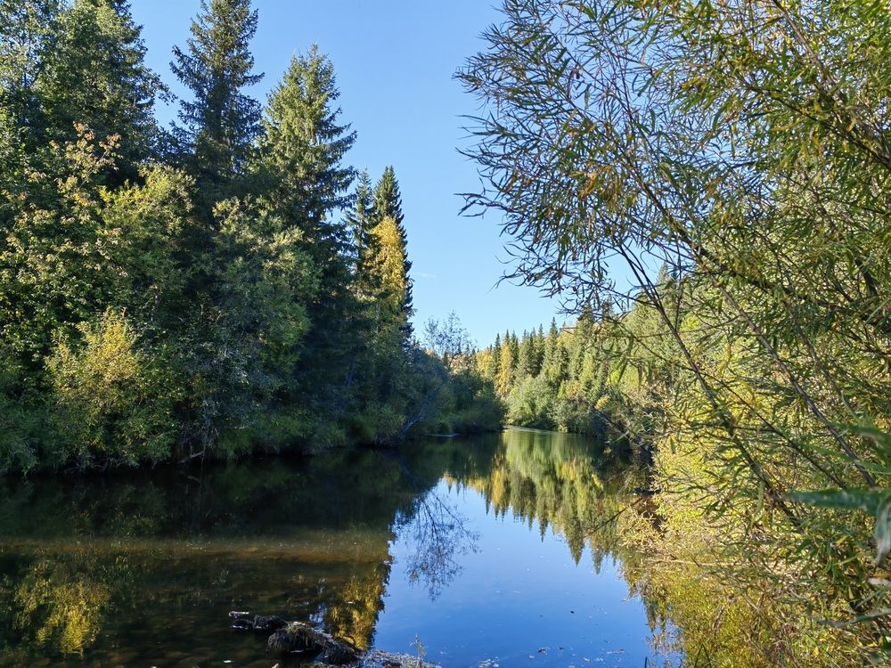 Photograph by Чкареули Светлана