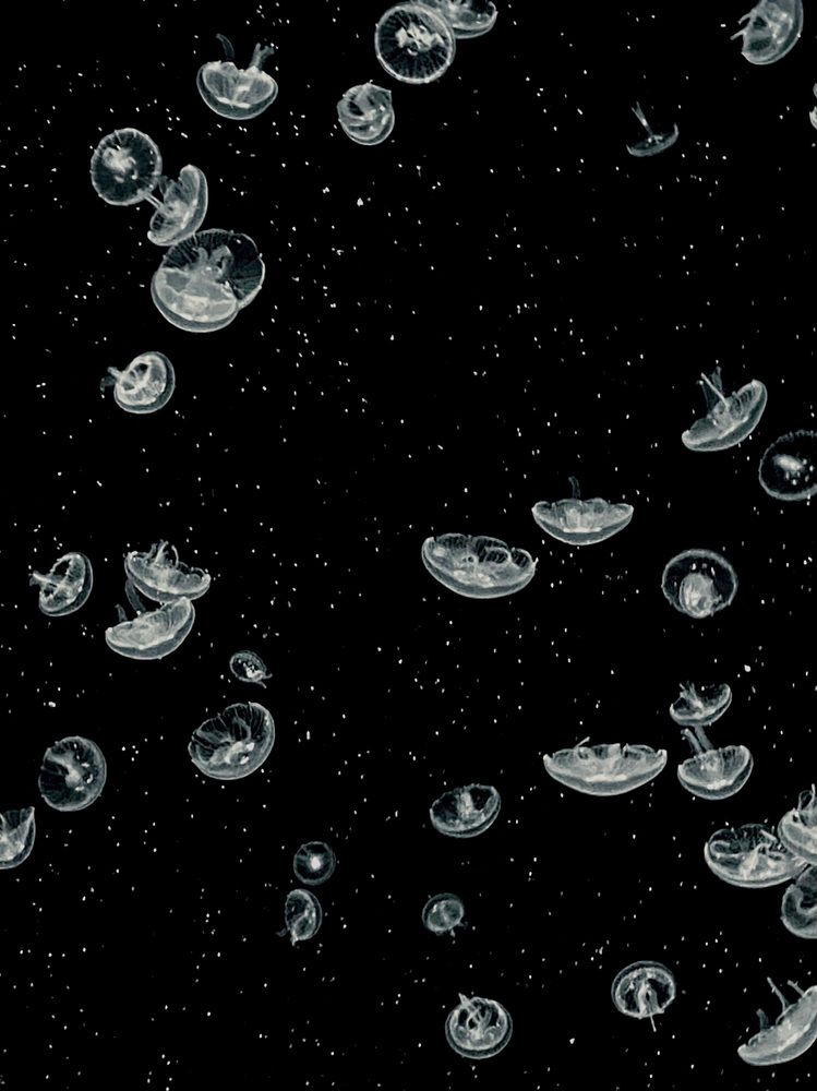 Photograph by Оксана Соколова