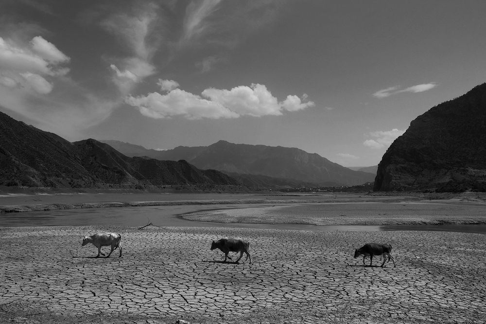 Photograph by Magov Marat