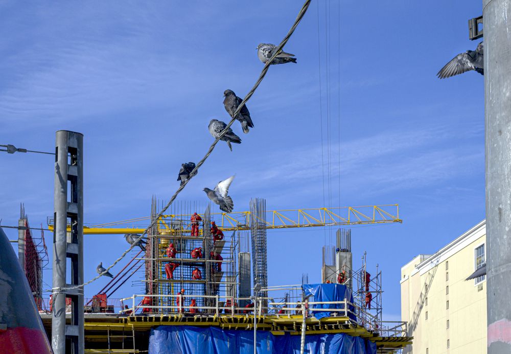 Фотография автора Ольга Лихтарь