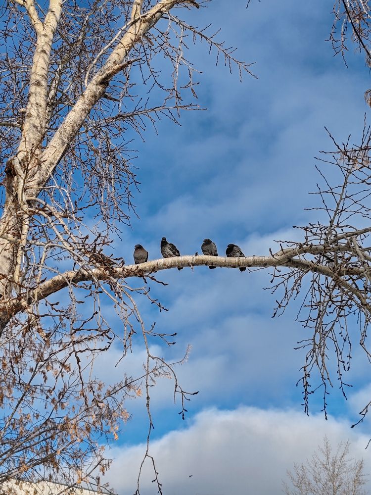 Photograph by Екатерина Брехова