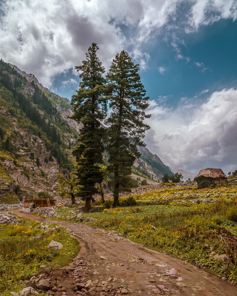 Photograph by Jamal Uddin