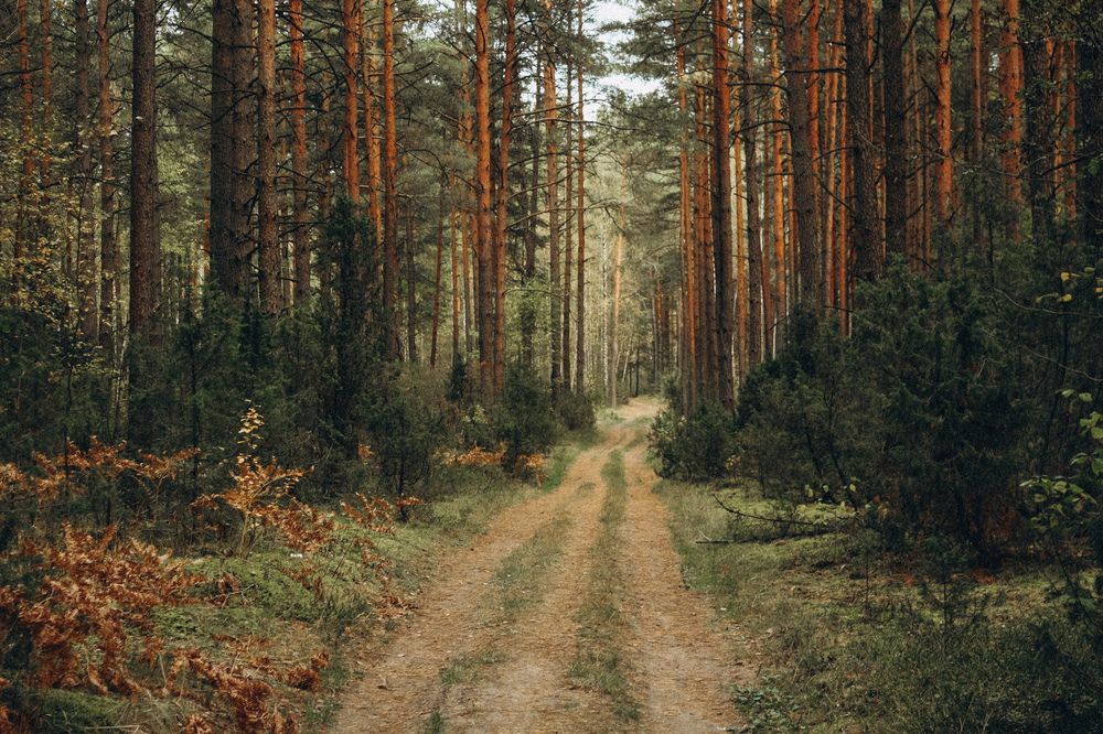 Photograph by Катрина Покумейко