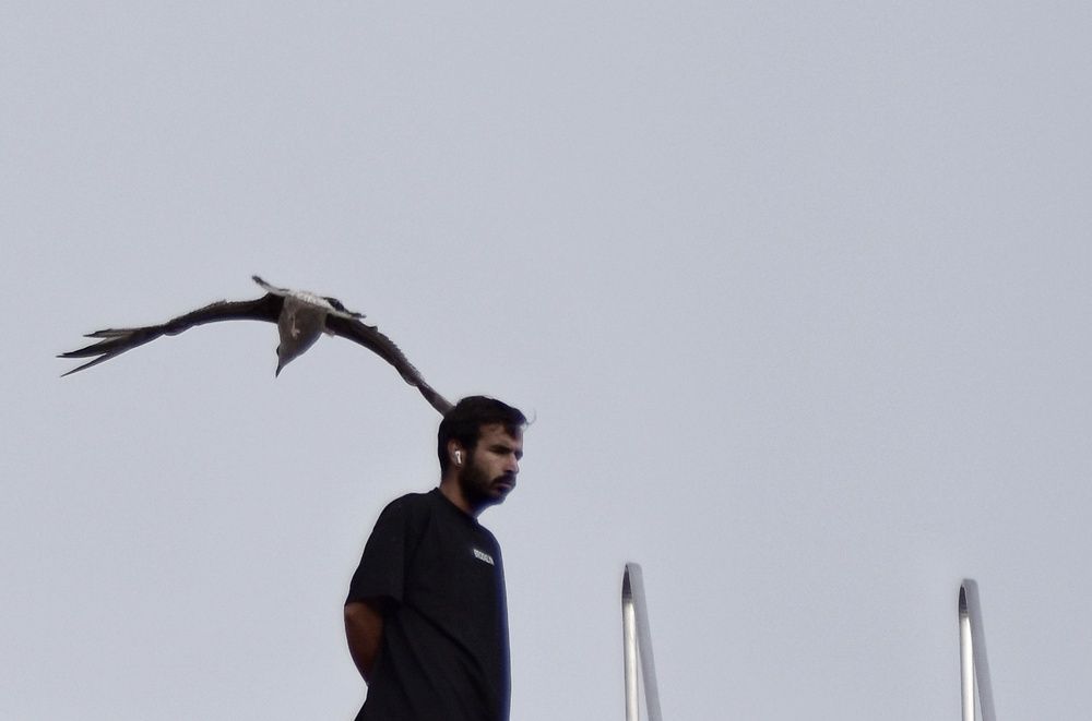 Photograph by fuat cimok