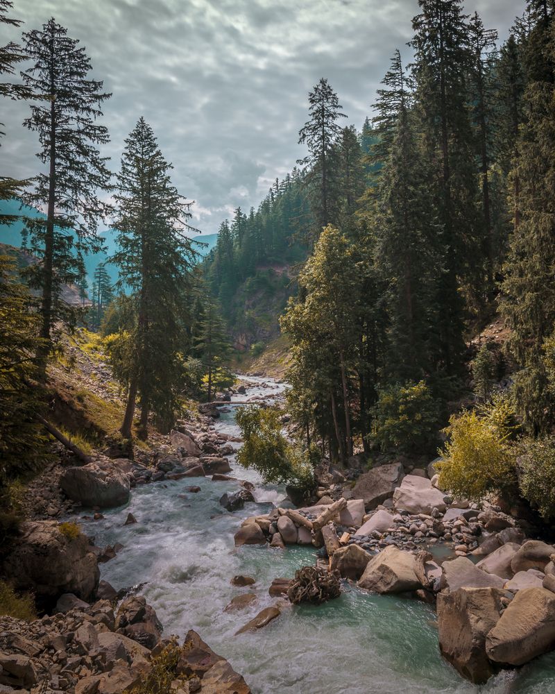 Photograph by Jamal Uddin