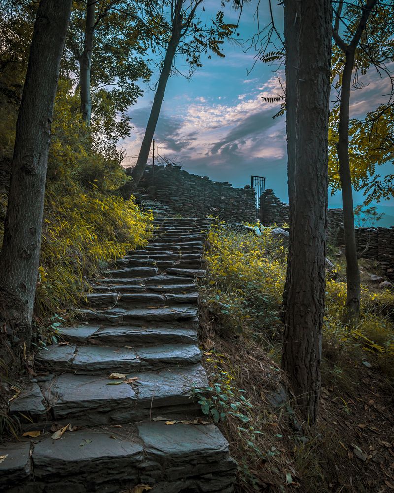 Photograph by Jamal Uddin