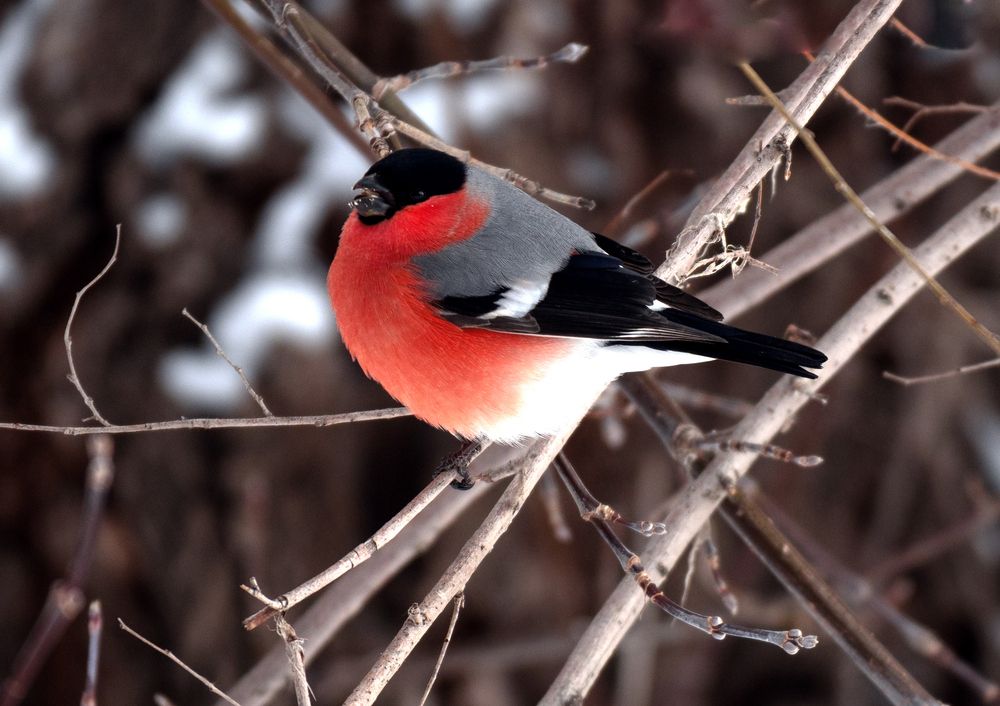 Photograph by Ольга Дерябина