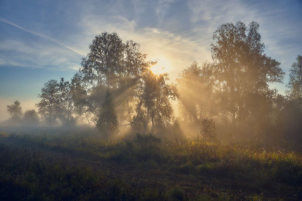 Photograph by Владимир Малевич