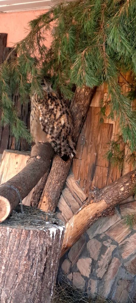 Photograph by Александра Насырова