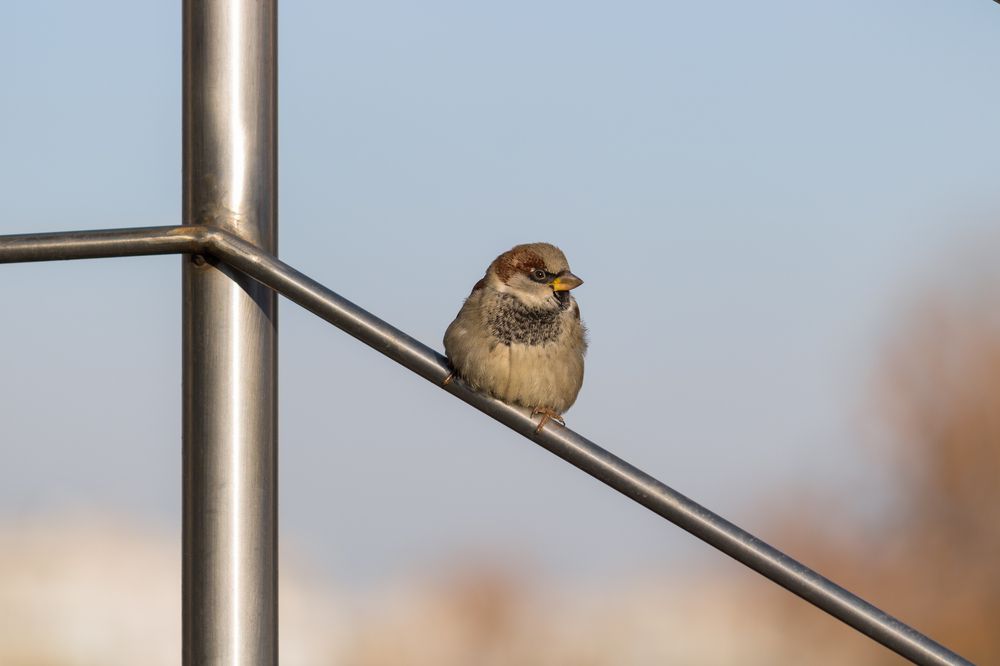 Photograph by Vania Tonova