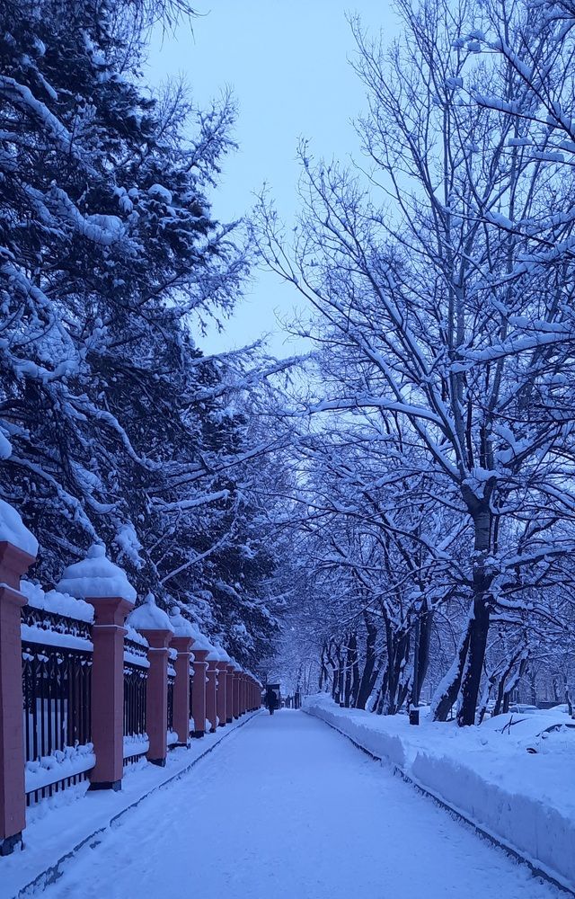 Photograph by Евгения Шашина