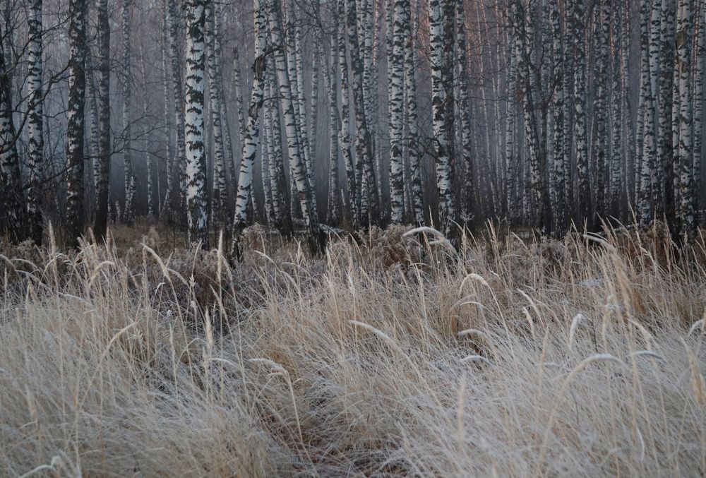 Photograph by Лена Максимкина