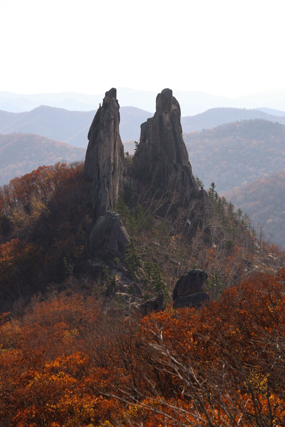 Photo #11810744