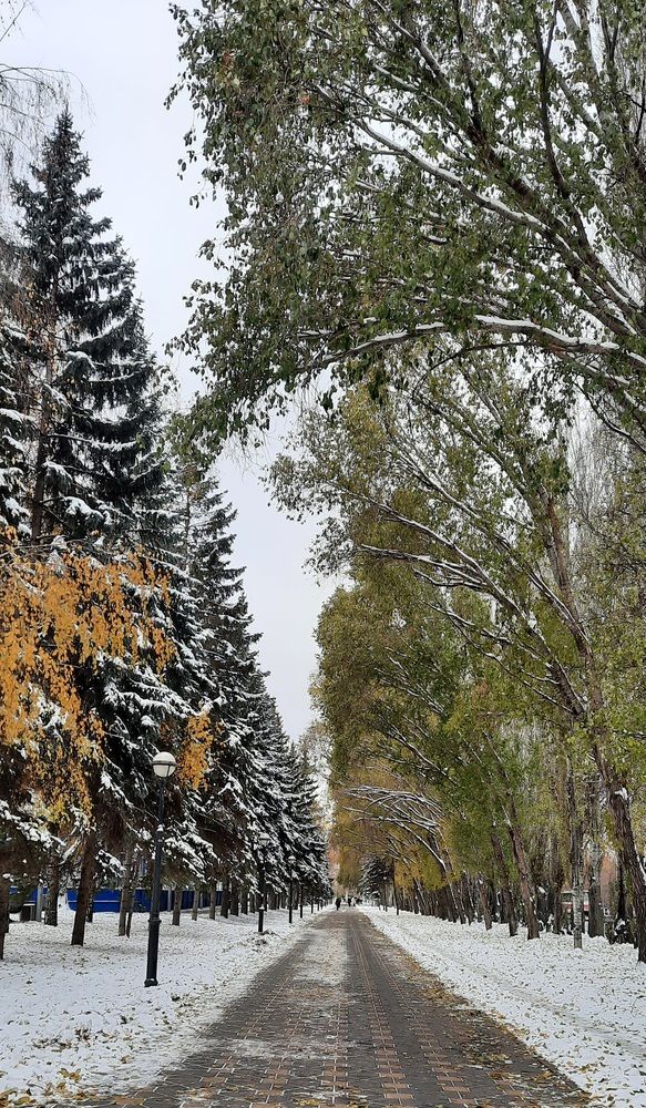 Photograph by Евгения Шашина