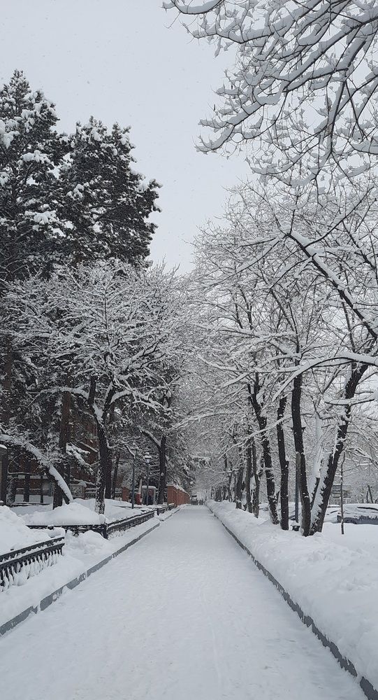 Photograph by Евгения Шашина