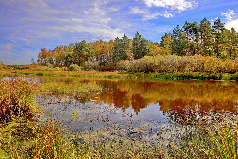 Photograph by Валерий Толмачев