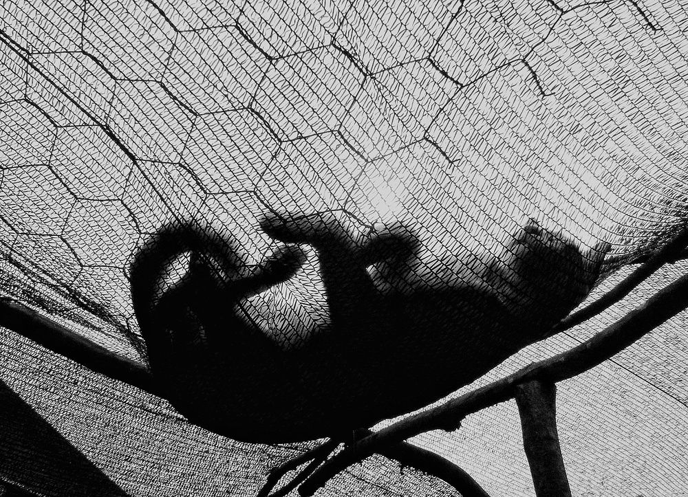 Photograph by Evelyn Emelly