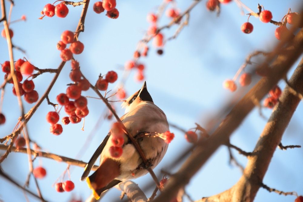 Photograph by Владимир Малевич