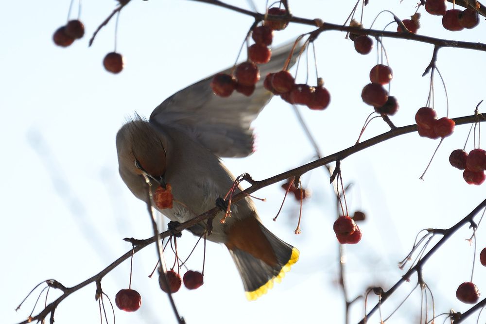 Photograph by Владимир Малевич