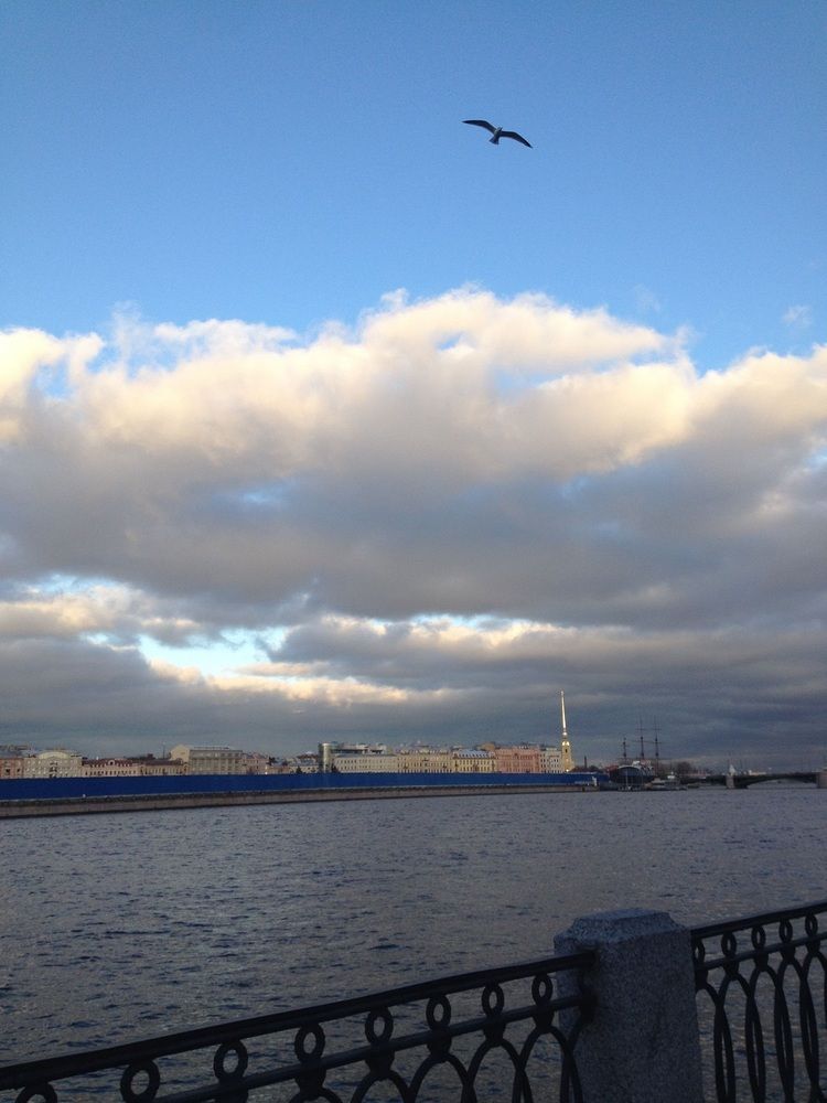 Photograph by Ирина Ильина