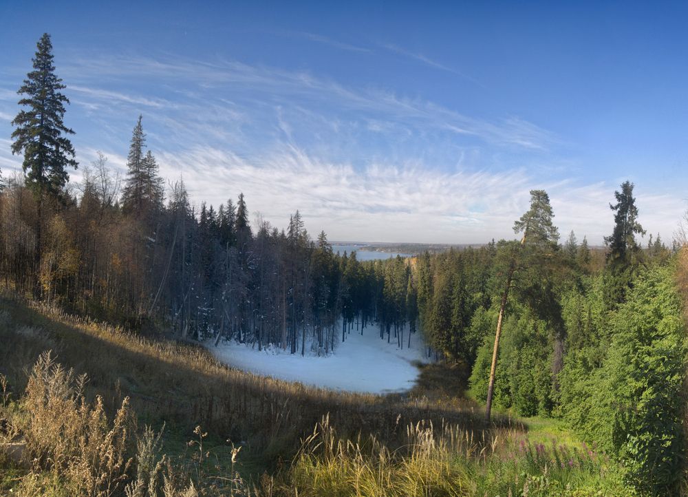 Времена года