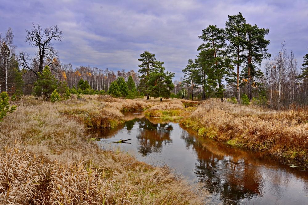 Photograph by Валерий Толмачев