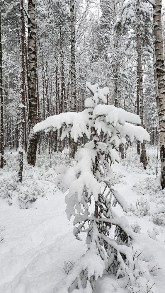 Photograph by Julia Kosenchuk