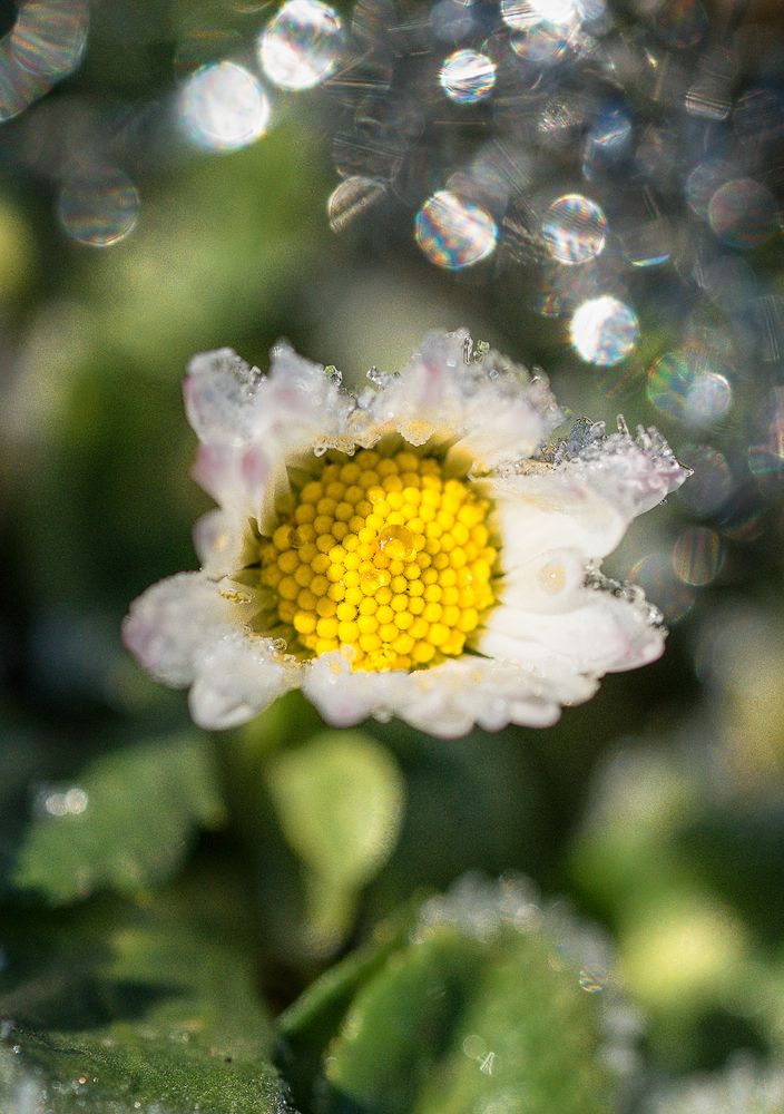 Photograph by Olga Tenigina