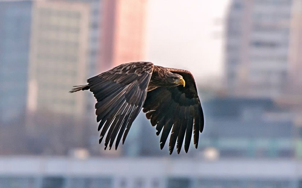 Photograph by константин