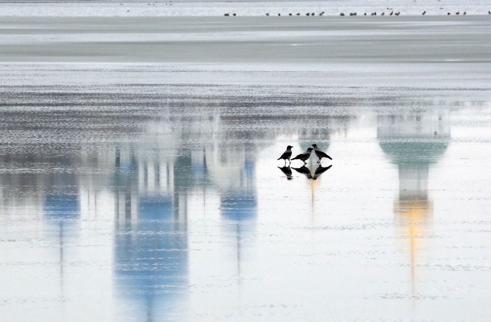 Photograph by Бибичков Михаил