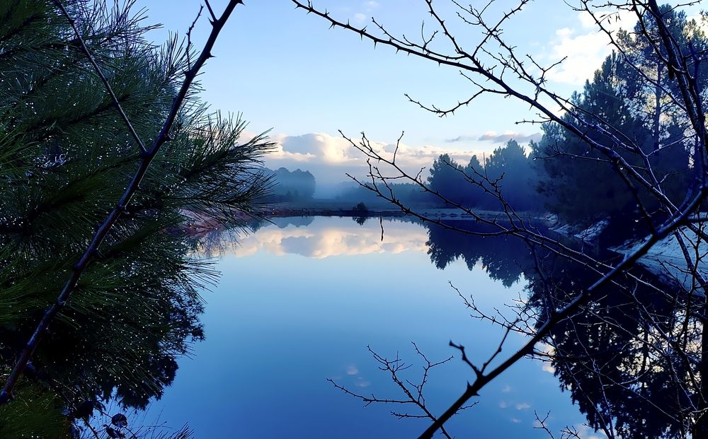 Photograph by COURTIAL Greg