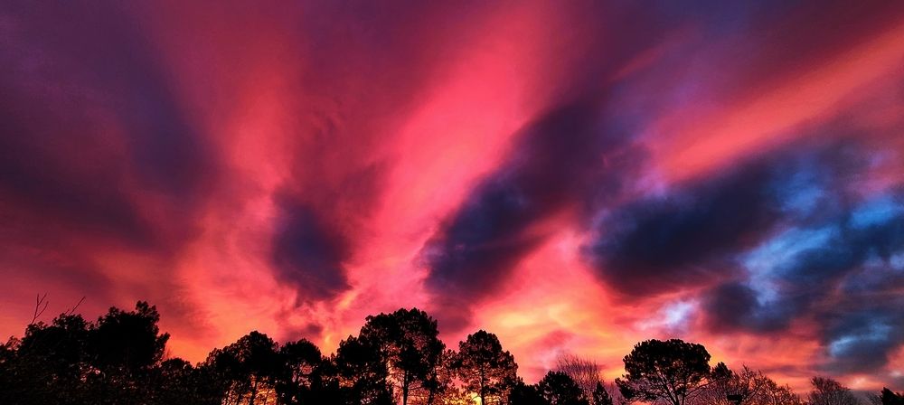 Photograph by COURTIAL Greg