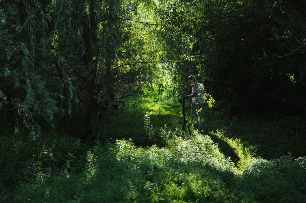 Photograph by Виктория Горельченко