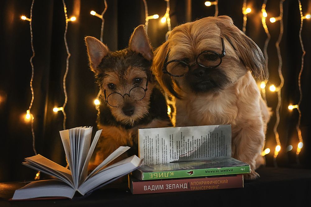 Фотография автора Анна Абрамова