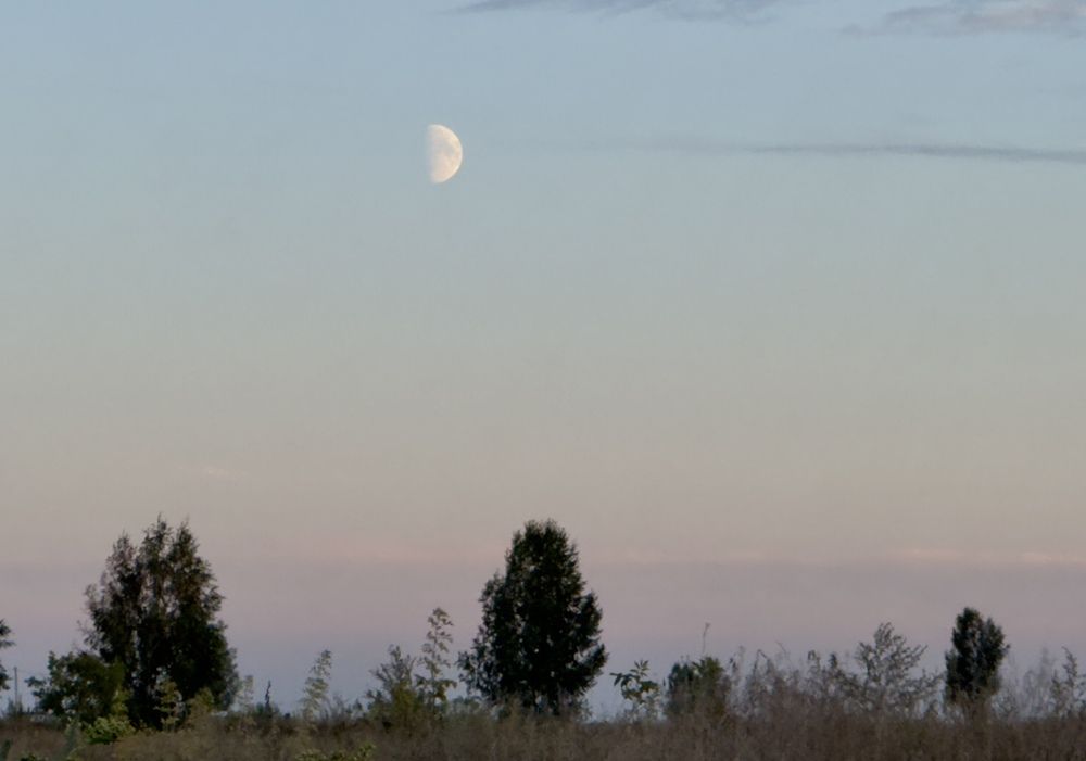 Photograph by Софья Шмидт